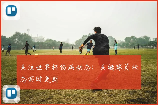 关注世界杯伤病动态:关键球员状态实时更新